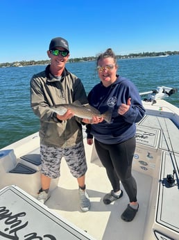 Speckled Trout / Spotted Seatrout Fishing in Sarasota, Florida