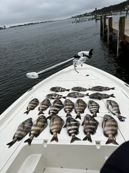 Redfish fishing in Pensacola, Florida