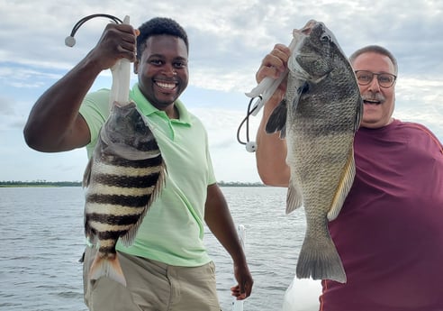 Black Drum, Sheepshead fishing in Mount Pleasant, South Carolina