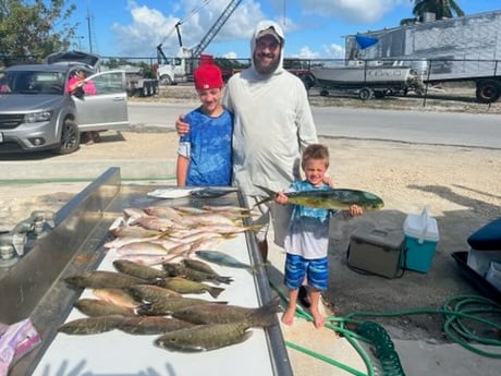 Mahi Mahi / Dorado, Mangrove Snapper, Yellowtail Snapper Fishing in Marathon, Florida