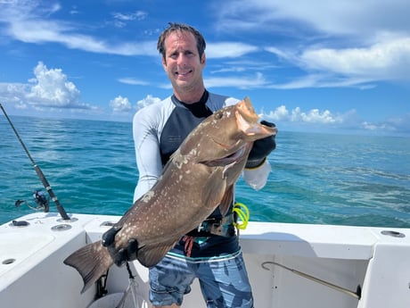 Red Grouper fishing in Islamorada, Florida