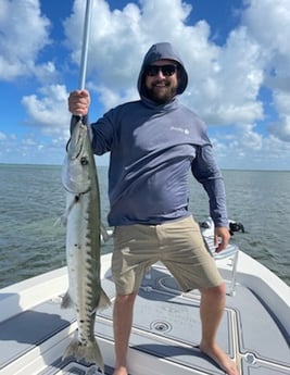 Barracuda fishing in Key Largo, Florida