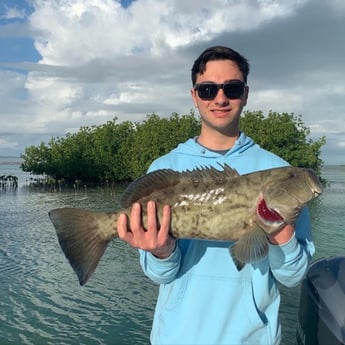 Gag Grouper Fishing in Key Largo, Florida