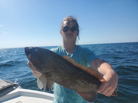 Gag Grouper fishing in St. Petersburg, Florida