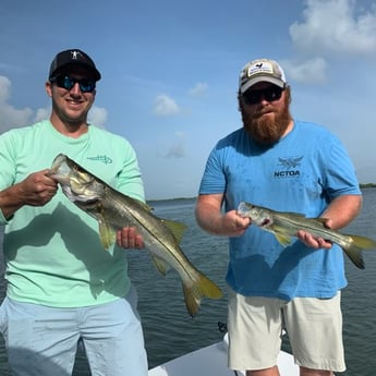 Snook fishing in Key Largo, Florida