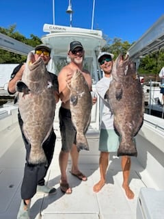 Black Grouper Fishing in Islamorada, Florida