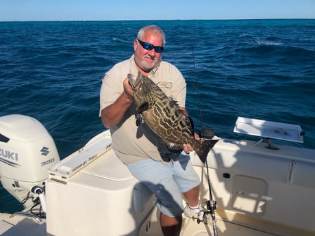 Black Grouper fishing in Marathon, Florida