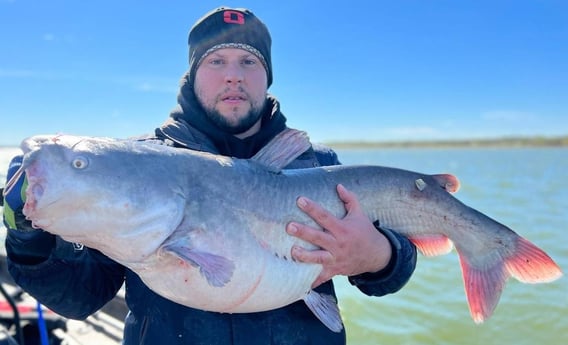 Blue Catfish Fishing in Dallas, Texas