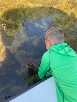 Redfish Fishing in St. Petersburg, Florida