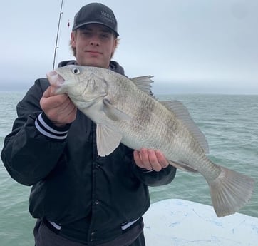 Black Drum fishing in Corpus Christi, Texas