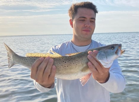 Speckled Trout / Spotted Seatrout Fishing in Corpus Christi, Texas