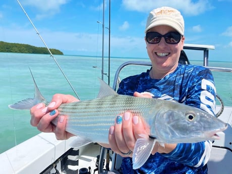 Speckled Trout / Spotted Seatrout fishing in Tavernier, Florida