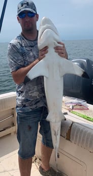 Blacktip Shark fishing in Galveston, Texas