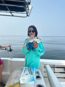 Scup Fishing in Destin, Florida