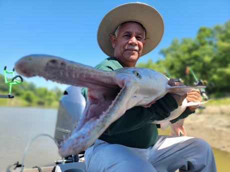 Alligator Gar fishing in Dallas, Texas