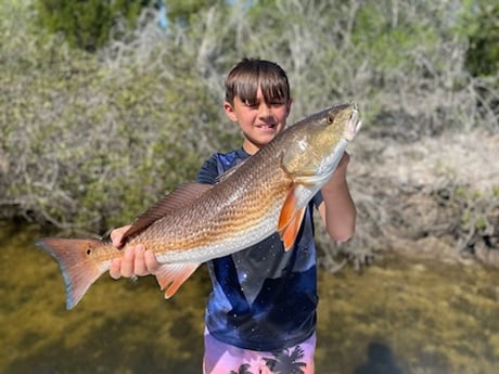 Redfish Fishing in St. Petersburg, Florida