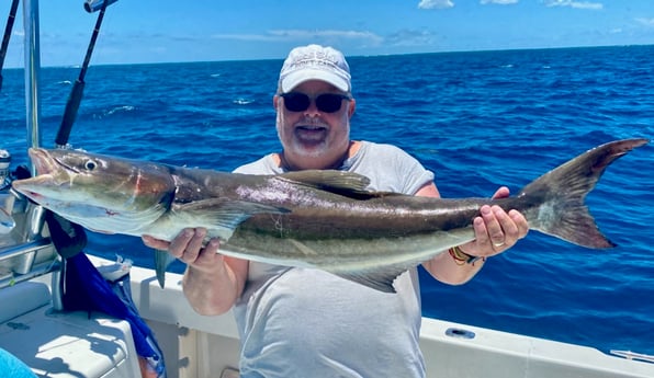 Cobia fishing in Marathon, Florida