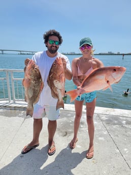 Red Grouper, Red Snapper fishing in Clearwater, Florida