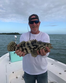 Goliath Grouper fishing in Key West, Florida