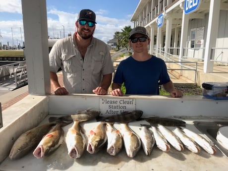 Black Drum, Redfish, Speckled Trout Fishing in Galveston, Texas