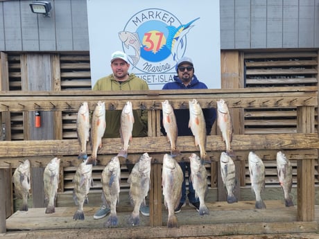 Black Drum, Redfish fishing in Corpus Christi, Texas