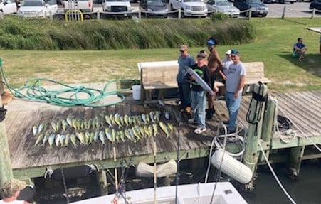 Mahi Mahi / Dorado, Wahoo fishing in Marathon, Florida