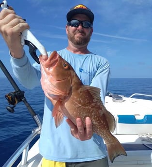 Red Grouper fishing in Clearwater, Florida