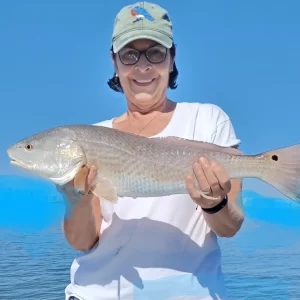 Redfish Fishing in Clearwater, Florida