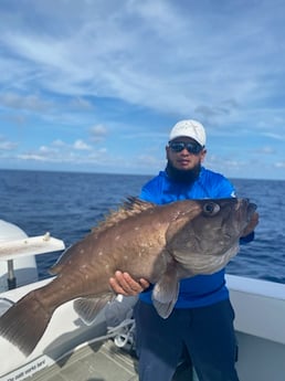 Fishing in St. Petersburg, Florida