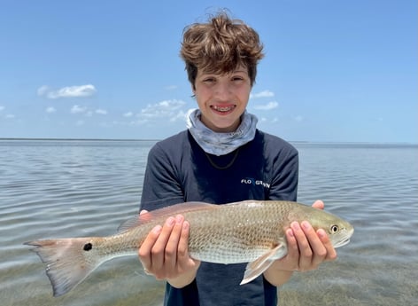 Redfish Fishing in Islamorada, Florida