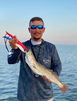 Speckled Trout / Spotted Seatrout fishing in South Padre Island, Texas