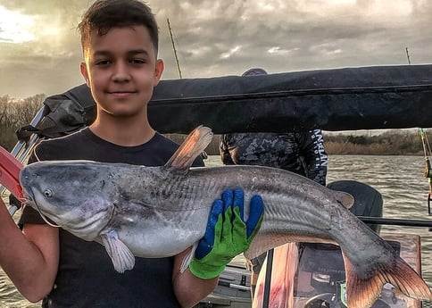 Blue Catfish fishing in Dallas, Texas