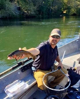 Rainbow Trout fishing in Knoxville, Tennessee