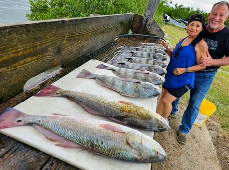 Black Drum, Redfish Fishing in South Padre Island, Texas