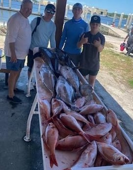 Vermillion Snapper Fishing in Jacksonville, Florida