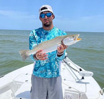 Speckled Trout / Spotted Seatrout fishing in Rockport, Texas