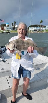 Black Drum fishing in Corpus Christi, Texas