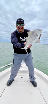 Black Drum fishing in Corpus Christi, Texas