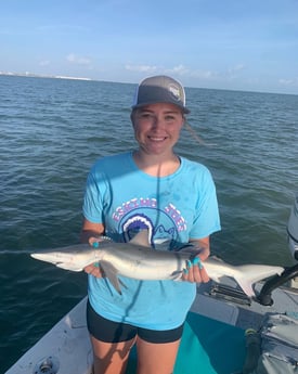 Blacktip Shark fishing in Corpus Christi, Texas