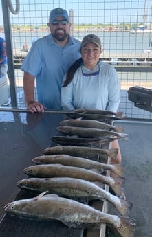 Speckled Trout / Spotted Seatrout fishing in Matagorda, Texas