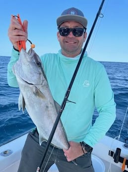 Amberjack Fishing in Pensacola, Florida