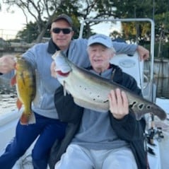 Clown Knifefish, Peacock Bass Fishing in Delray Beach, Florida