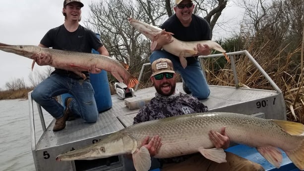 Alligator Gar fishing in Livingston, Texas