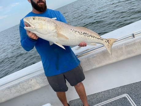 Redfish Fishing in Galveston, Texas