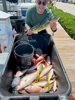 Mahi Mahi, Vermillion Snapper, Yellowtail Snapper Fishing in Islamorada, Florida