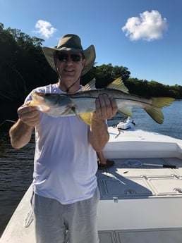 Snook Fishing in Fort Myers, Florida