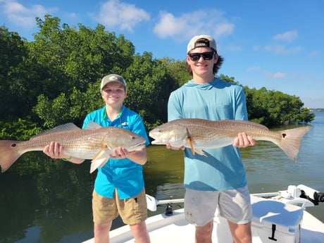 Redfish Fishing in Clearwater, Florida