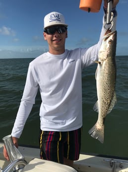 Speckled Trout / Spotted Seatrout fishing in Galveston, Texas