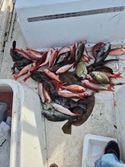 Fishing in St. Marys, Georgia