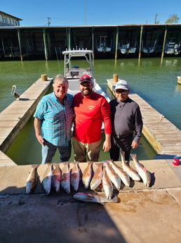 Black Drum, Redfish fishing in Port O&#039;Connor, Texas